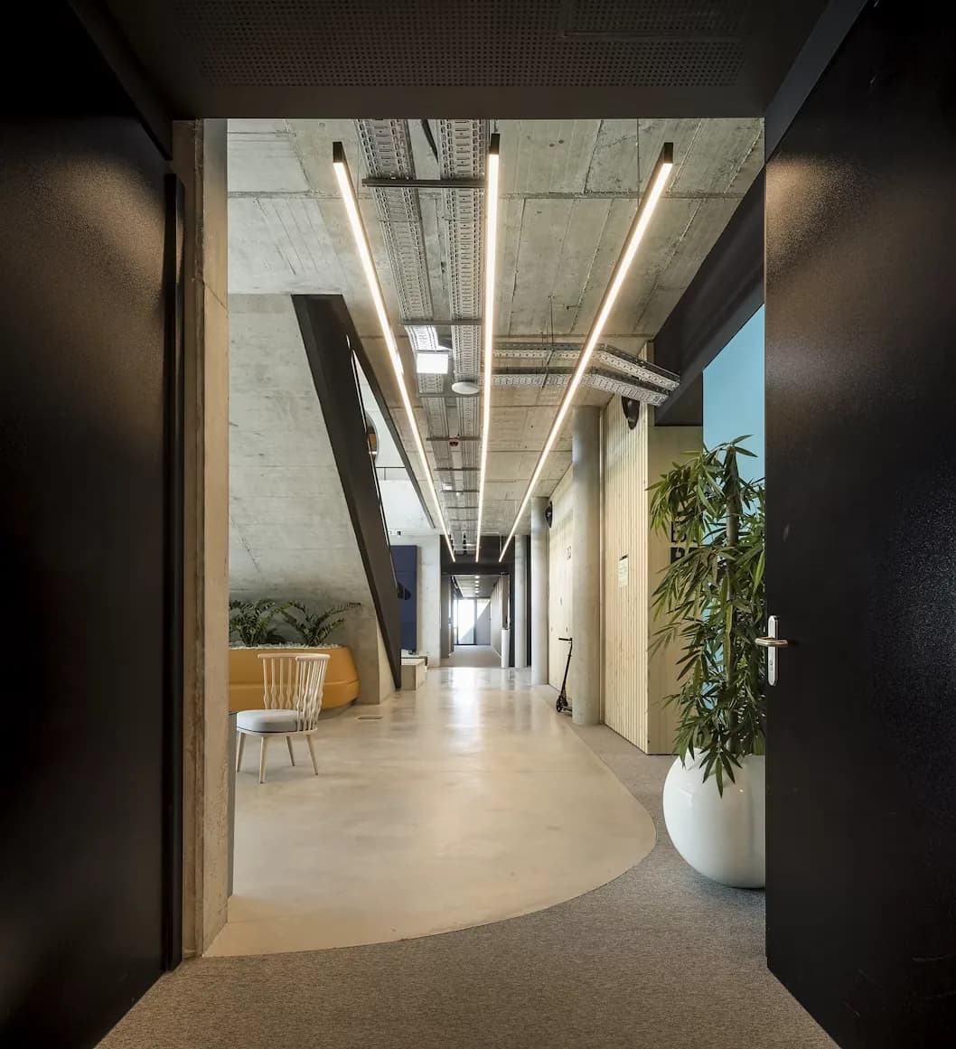 A concrete office corridor under lines of light, seen through a black door with a plant beside it